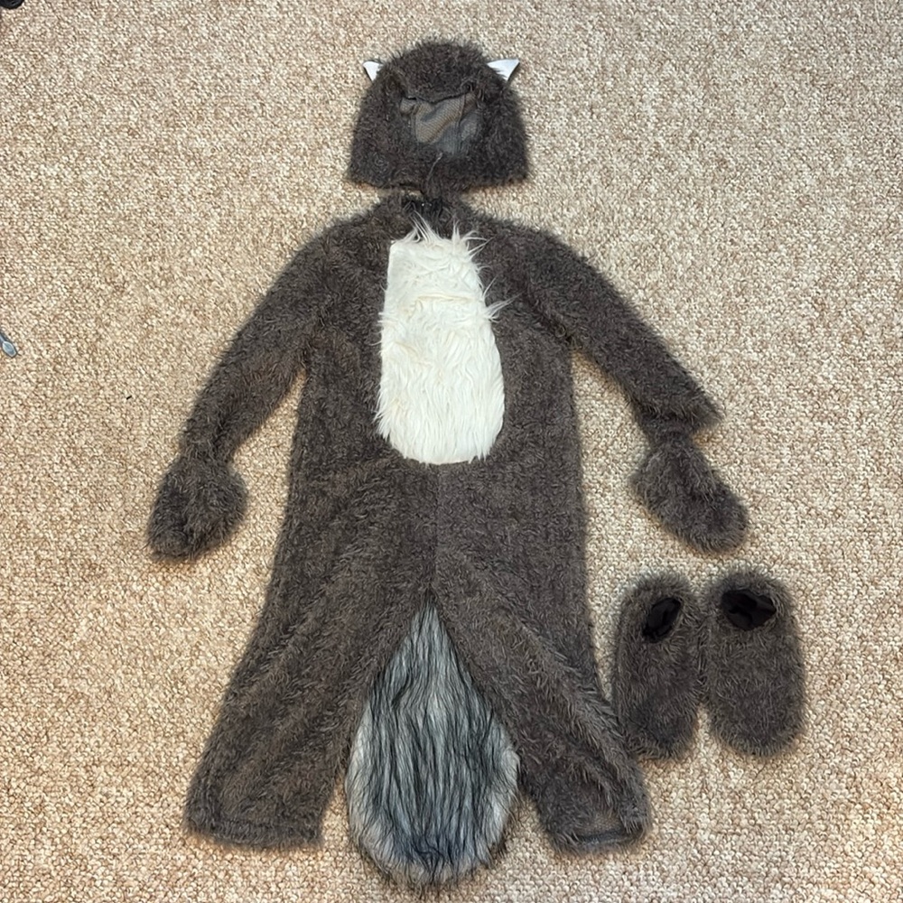 Squirrel costume - 4T